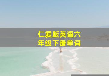 仁爱版英语六年级下册单词