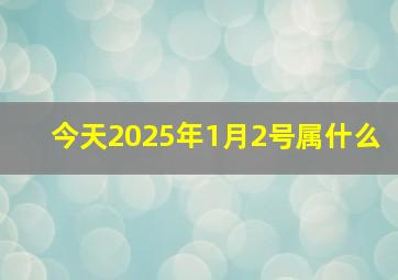 今天2025年1月2号属什么