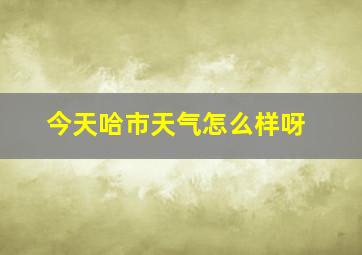 今天哈市天气怎么样呀