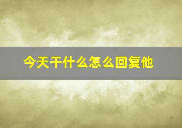 今天干什么怎么回复他