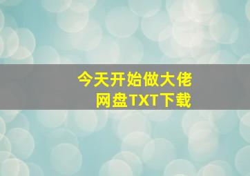 今天开始做大佬网盘TXT下载