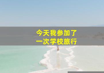 今天我参加了一次学校旅行