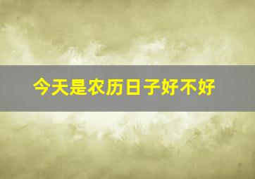 今天是农历日子好不好