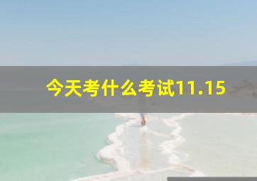 今天考什么考试11.15