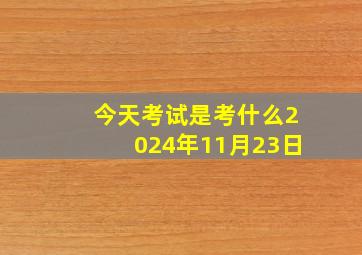 今天考试是考什么2024年11月23日