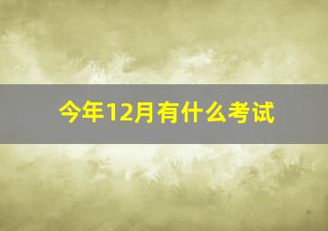 今年12月有什么考试