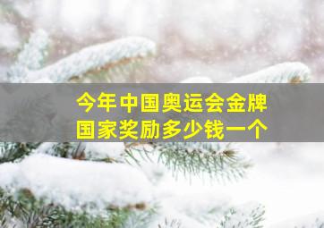 今年中国奥运会金牌国家奖励多少钱一个