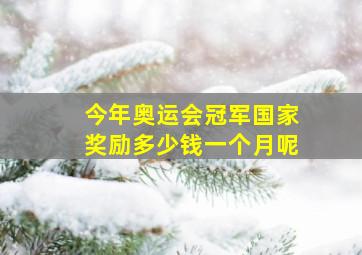 今年奥运会冠军国家奖励多少钱一个月呢