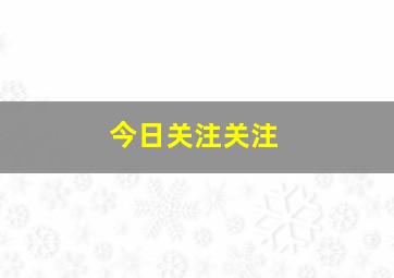 今日关注关注