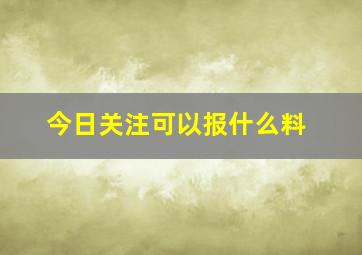 今日关注可以报什么料