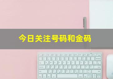 今日关注号码和金码