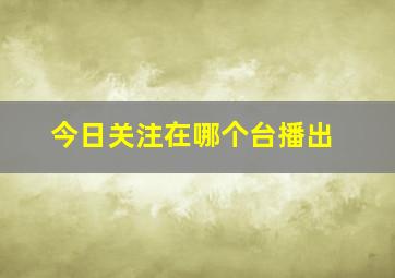 今日关注在哪个台播出