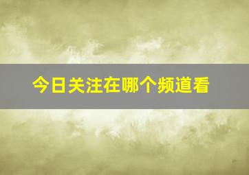 今日关注在哪个频道看