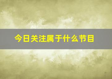 今日关注属于什么节目