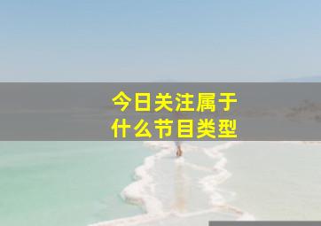 今日关注属于什么节目类型