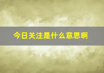 今日关注是什么意思啊