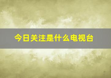 今日关注是什么电视台