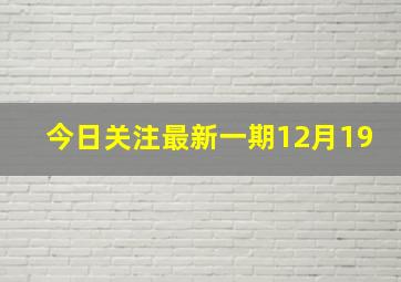 今日关注最新一期12月19