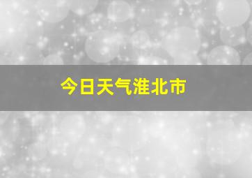 今日天气淮北市