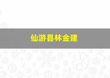 仙游县林金建