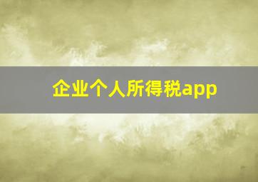 企业个人所得税app