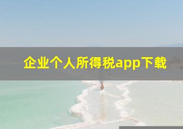 企业个人所得税app下载