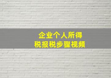 企业个人所得税报税步骤视频