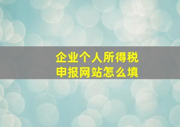 企业个人所得税申报网站怎么填