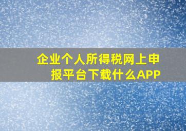 企业个人所得税网上申报平台下载什么APP