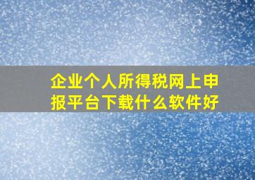 企业个人所得税网上申报平台下载什么软件好