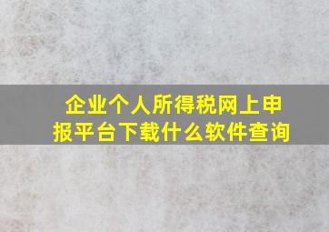 企业个人所得税网上申报平台下载什么软件查询