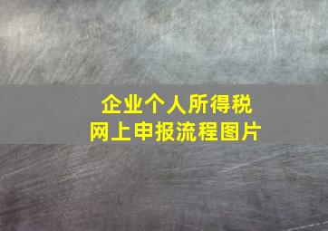 企业个人所得税网上申报流程图片