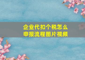 企业代扣个税怎么申报流程图片视频