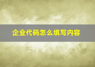 企业代码怎么填写内容