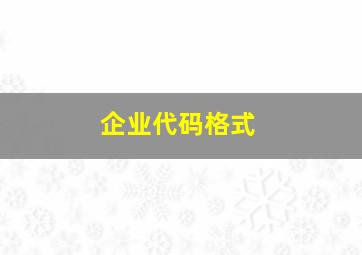 企业代码格式