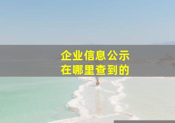 企业信息公示在哪里查到的