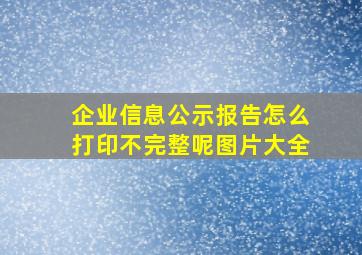 企业信息公示报告怎么打印不完整呢图片大全