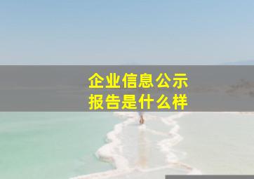 企业信息公示报告是什么样