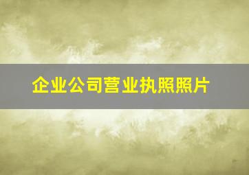 企业公司营业执照照片