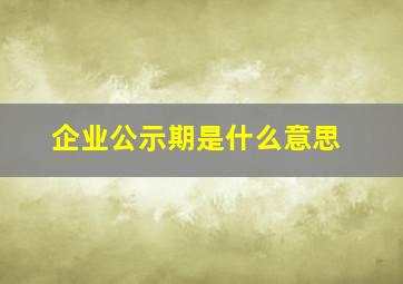 企业公示期是什么意思