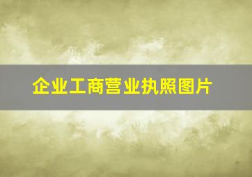 企业工商营业执照图片