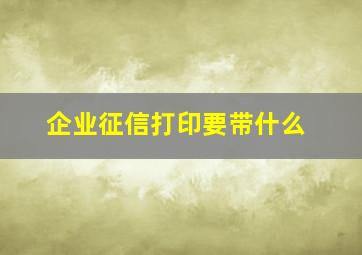 企业征信打印要带什么