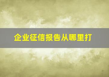 企业征信报告从哪里打