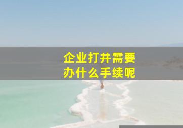 企业打井需要办什么手续呢