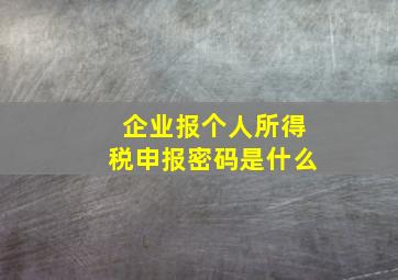 企业报个人所得税申报密码是什么