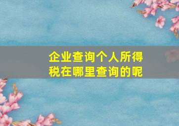 企业查询个人所得税在哪里查询的呢