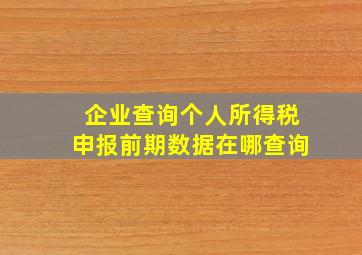 企业查询个人所得税申报前期数据在哪查询