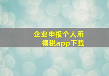 企业申报个人所得税app下载