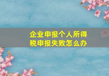 企业申报个人所得税申报失败怎么办