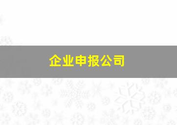 企业申报公司